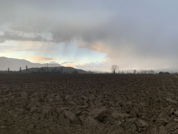 Scenic view of field against sky