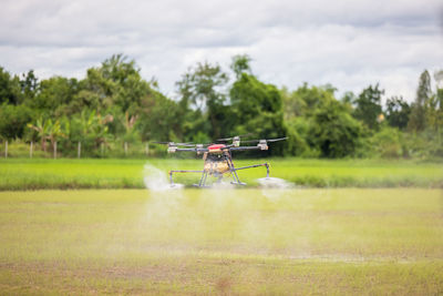 Scenic view of agricultural field against sky