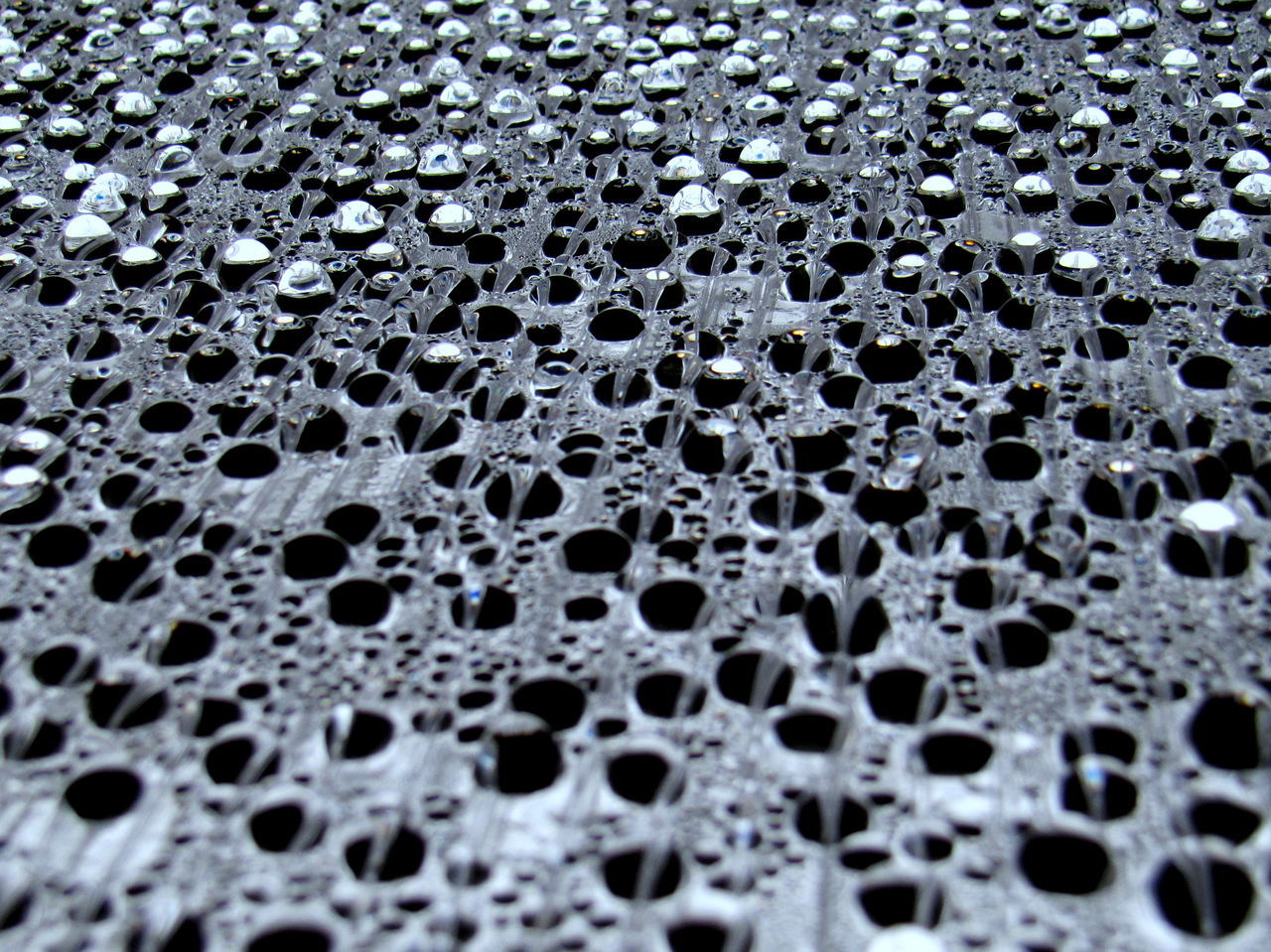 FULL FRAME SHOT OF WET BUBBLES IN RAIN