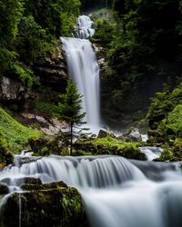 Scenic view of waterfall in forest