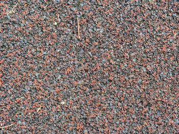 Full frame shot of stones