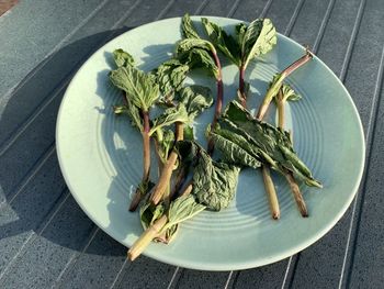 High angle view of vegetables in plate on table