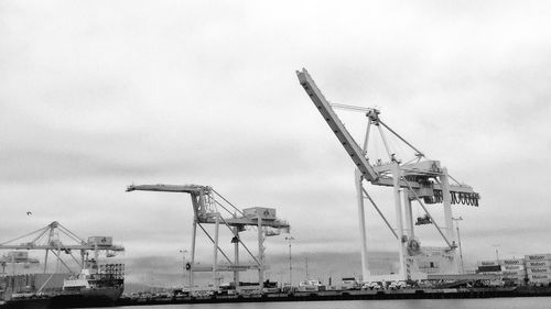 Cranes at harbor