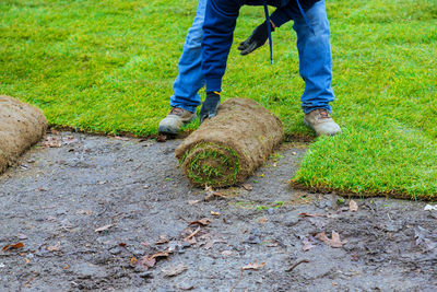 Low section of man standing on field