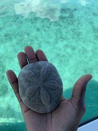 Close-up of hand holding seashell by sea