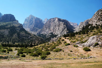 Scenic view of landscape and mountains against clear sky