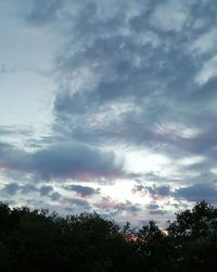 Low angle view of trees against cloudy sky