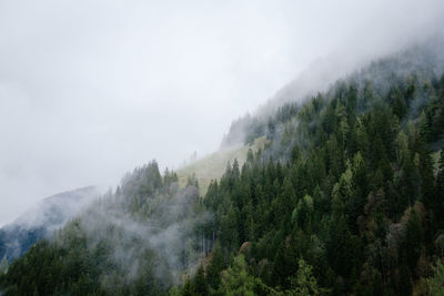 Panoramic view of trees and mountains against sky