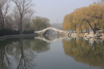 Bridge over river amidst trees against sky