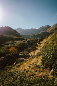 Scenic view of landscape against clear blue sky