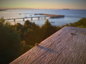 Close-up of wood against sea during sunset