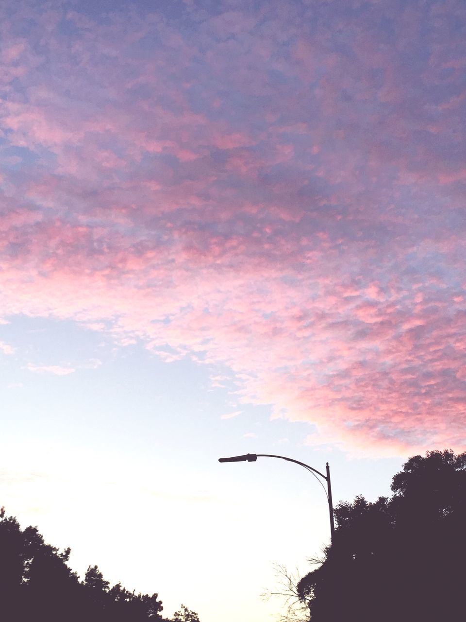 sky, sunset, cloud - sky, silhouette, tree, plant, nature, street light, street, beauty in nature, orange color, low angle view, outdoors, scenics - nature, no people, lighting equipment, sunlight, tranquility, flying, sun