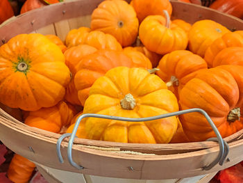 High angle view of pumpkins in market