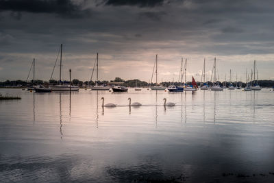 View of sailboats and swans with a dramatic sky