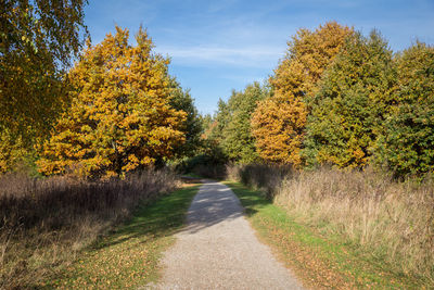 Road amidst trees against sky during autumn