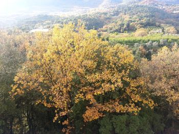 Scenic view of mountains