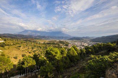 Scenic view of landscape against sky