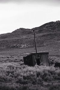 Scenic view of grassy field against sky
