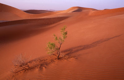 Scenic view of desert against sky