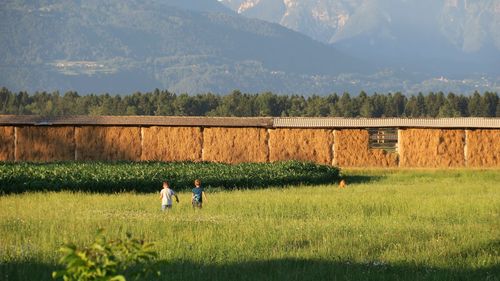 Rear view of boys walking on grassy field