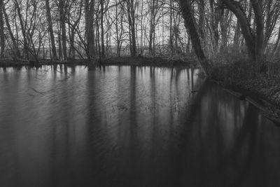 Scenic view of lake in forest
