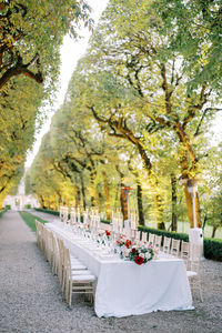 Empty road amidst trees