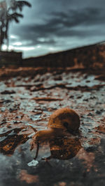 Close-up of water surface level of rocks on beach