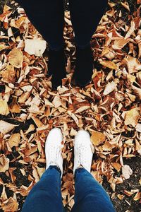 Low section of person standing on dry leaves