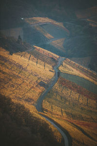 High angle view of road amidst agricultural land