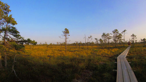 Scenic view of field against clear sky
