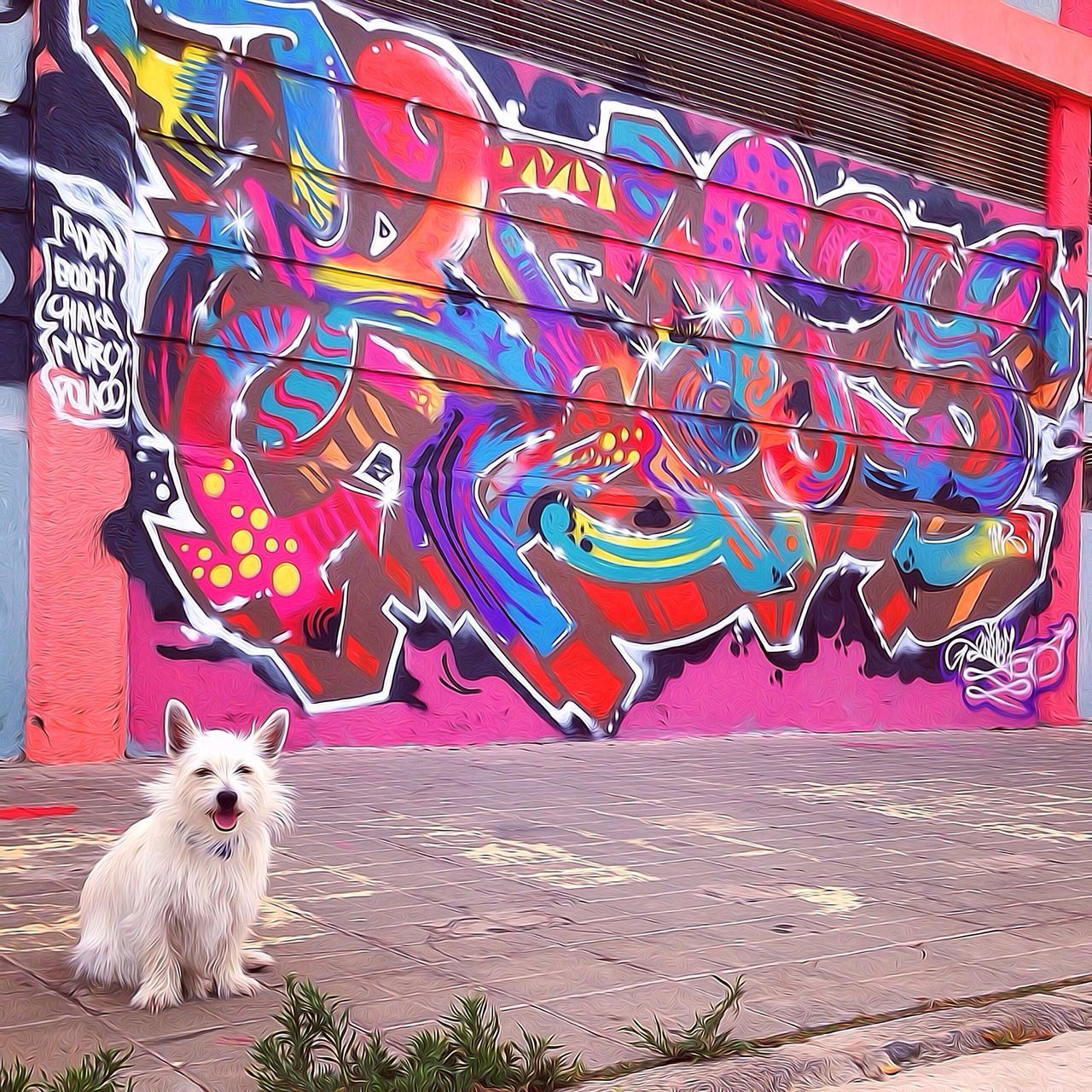 art, art and craft, graffiti, creativity, animal themes, wall - building feature, animal representation, domestic animals, built structure, one animal, multi colored, architecture, mammal, red, street art, outdoors, wall, no people, text, day