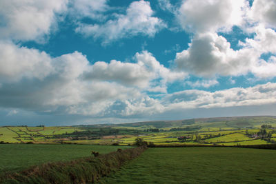 Scenic view of agricultural field against sky