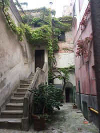 View of stairs along built structures