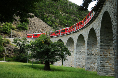 View of arch bridge against trees