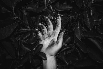 Close-up of cropped dirty hand on leaves at night