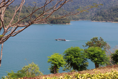 Scenic view of sea by trees