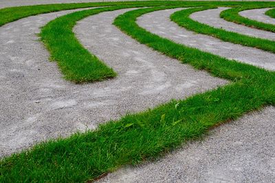 High angle view of footpath in field