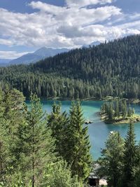 Scenic view of pine trees by lake against sky in switzerland