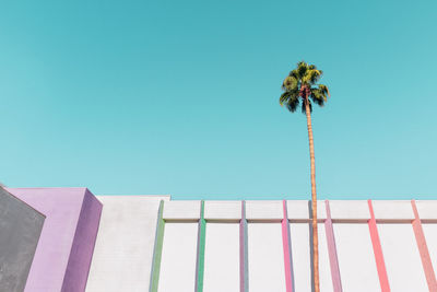 Low angle view of palm tree against clear blue sky