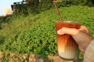 Close-up of hand holding drink