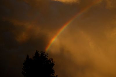 rainbow
