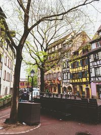 Trees in city against sky