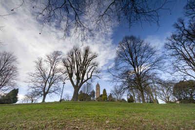 Bare trees on field against sky