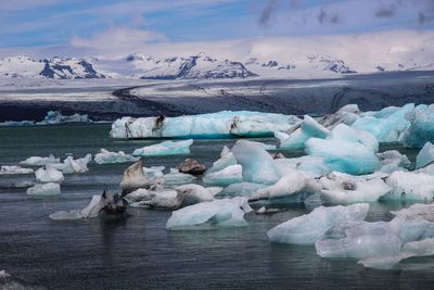 Icebergs in jokulsarlon, iceland 