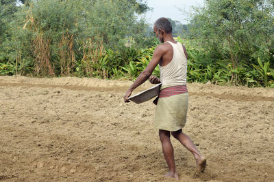 Indian farmer holding basket spraying fertilizer in farm land