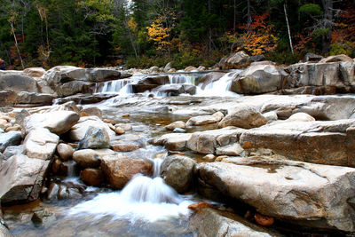 Stream flowing through rocks in forest