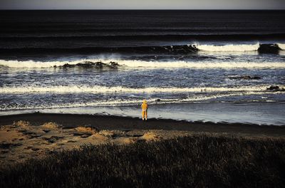 Rear view of man standing at beach