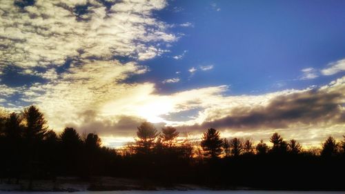 Silhouette trees against sky during sunset