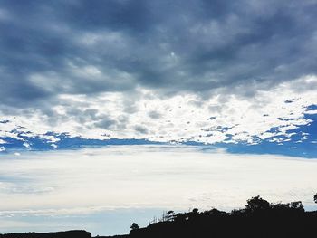 Low angle view of silhouette trees against sky