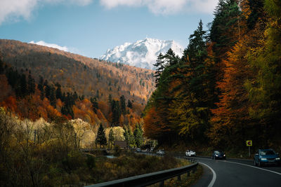 Road by trees against mountais and sky during autumn